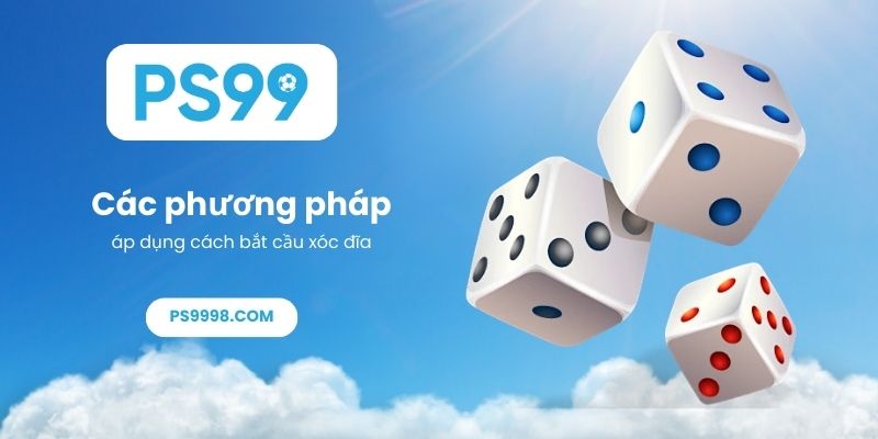 Các phương pháp áp dụng cách bắt cầu xóc đĩa