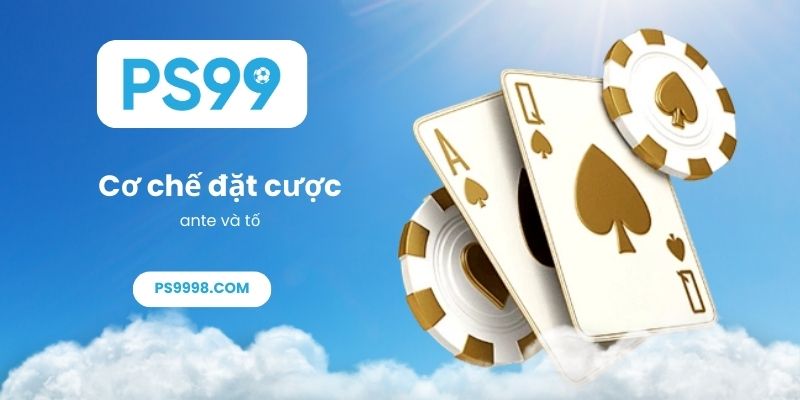 Cơ chế đặt cược ante và tố