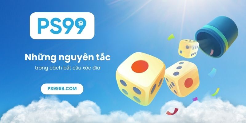 Những nguyên tắc trong cách bắt cầu xóc đĩa