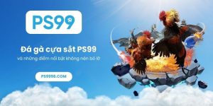 Đá gà cựa sắt PS99