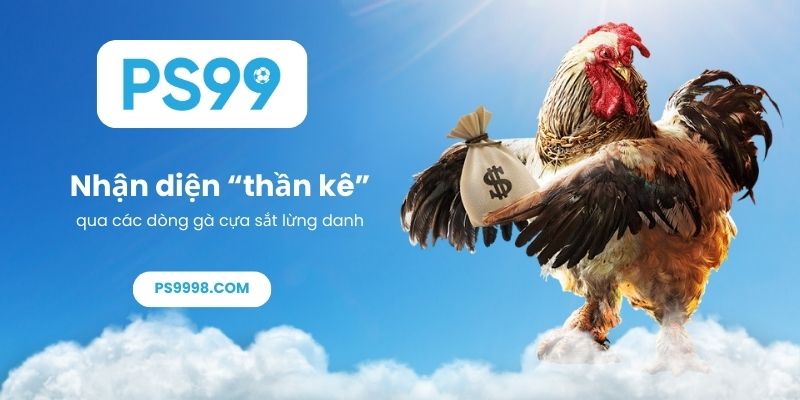 Nhận diện “thần kê” qua các dòng gà cựa sắt lừng danh